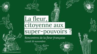 Fleurs d’Ici propose une table ronde web le 16 novembre pour favoriser la vente de bouquets de fleurs coupées françaises. 
